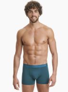 Εικόνα της Walk Πετρόλ Seamless BoXer Bamboo.