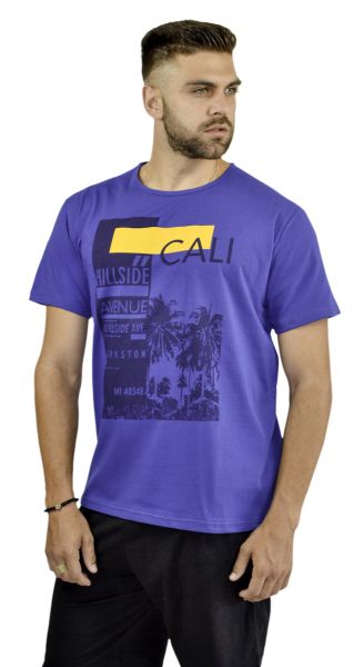 Εικόνα της Galaxy βαμβακερή ρουά ανδρική κοντομάνικη μπλούζα.