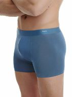 Εικόνα της Walk Πετρόλ Seamless BoXer Bamboo.