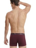 Εικόνα της Walk W1755 Ανδρικά Μποξεράκια Γκρι / Γκρενά 2Pack