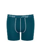 Εικόνα της 2Pack Sloggi Boxer Short Πετρόλ/Γαλάζιο.