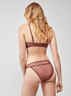 Εικόνα της Gisela Καφέ Slip Με Τούλι.