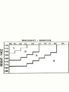 Εικόνα της IDER Demon Γυναικείο Καλσόν 70 Den Μαύρο 1603-001