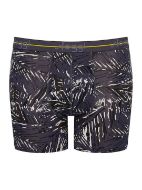 Εικόνα της Sloggi Ανδρικά Μποξεράκια Short Γκρι 2Pack 10206948-M032